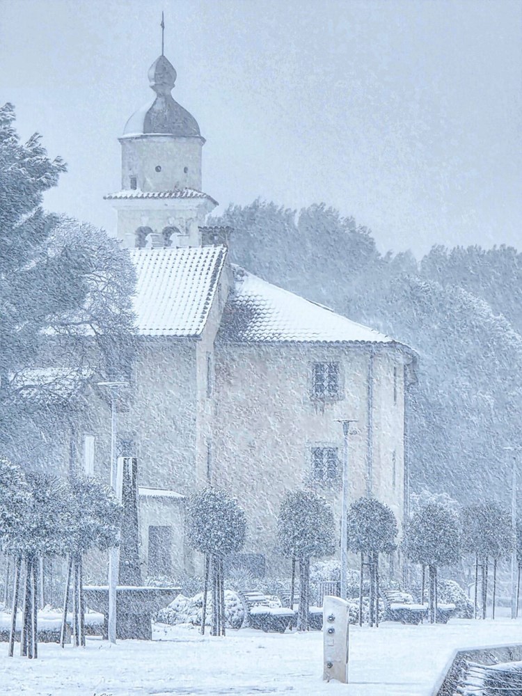 (Cres u snijegu / Foto ALEN BEĆIROVIĆ)