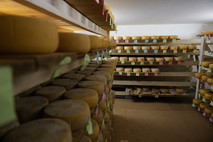 Ilustracija (Snimio Mislav Klanac)