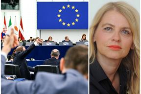 (Foto Europski parlament/Darko Jelinek)