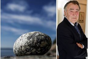 (Foto Pexels/Arhiva Glasa istre)