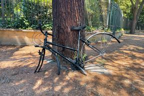 Ilustracija (Unsplash)