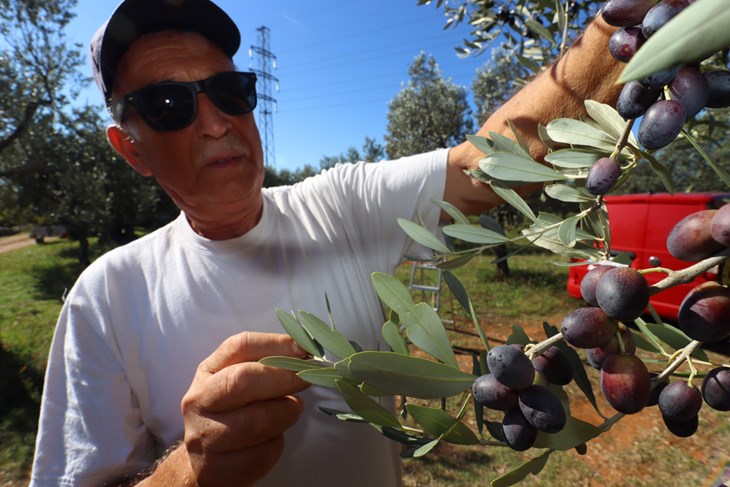 (Snimio Zvjezdan Strahinja)