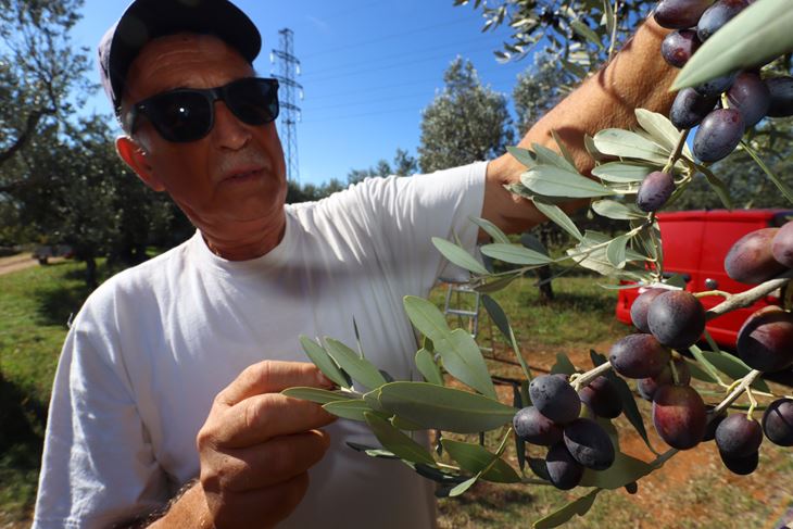 (Snimio Zvjezdan Strahinja)