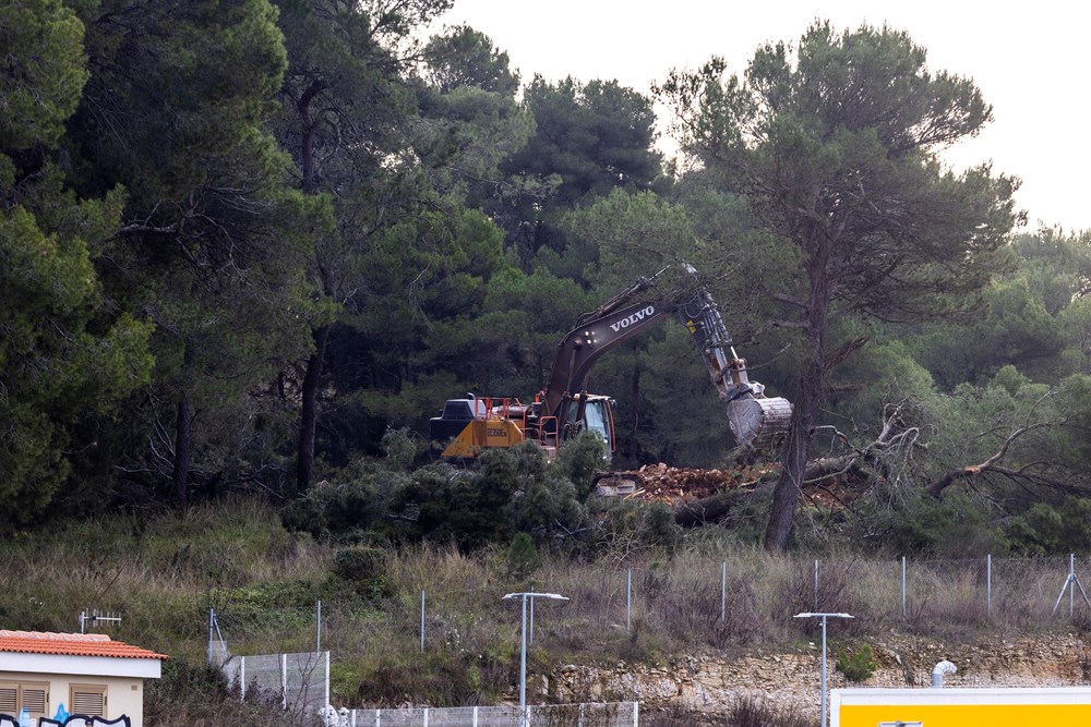 (Snimio Srecko Niketic / Pixsell)