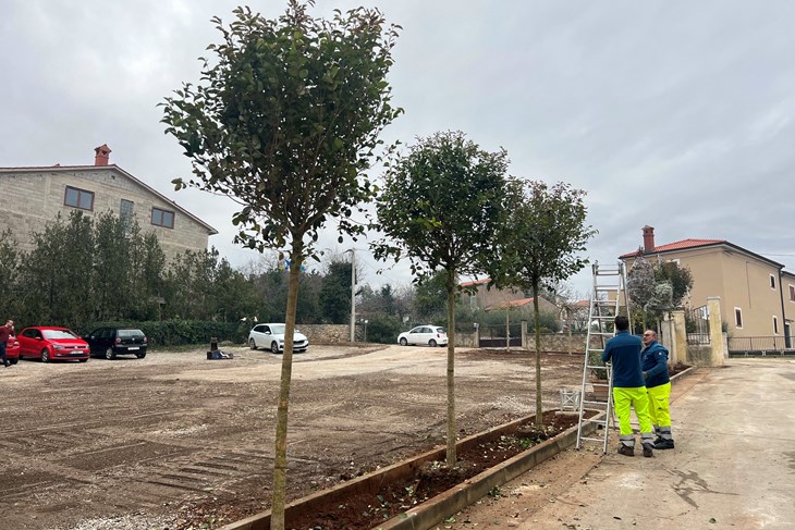 (Snimila Doria Mohorović)