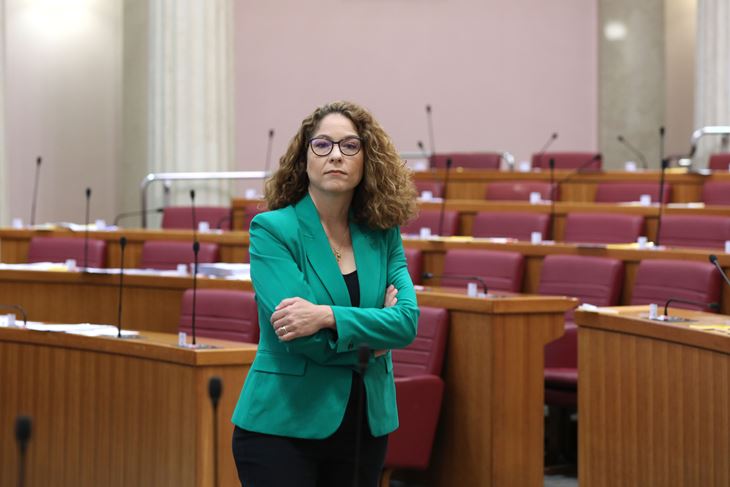 (Patrik Macek/PIXSELL)