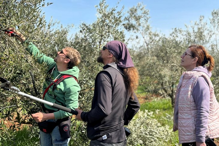 (Foto: Istrian de Dignan)