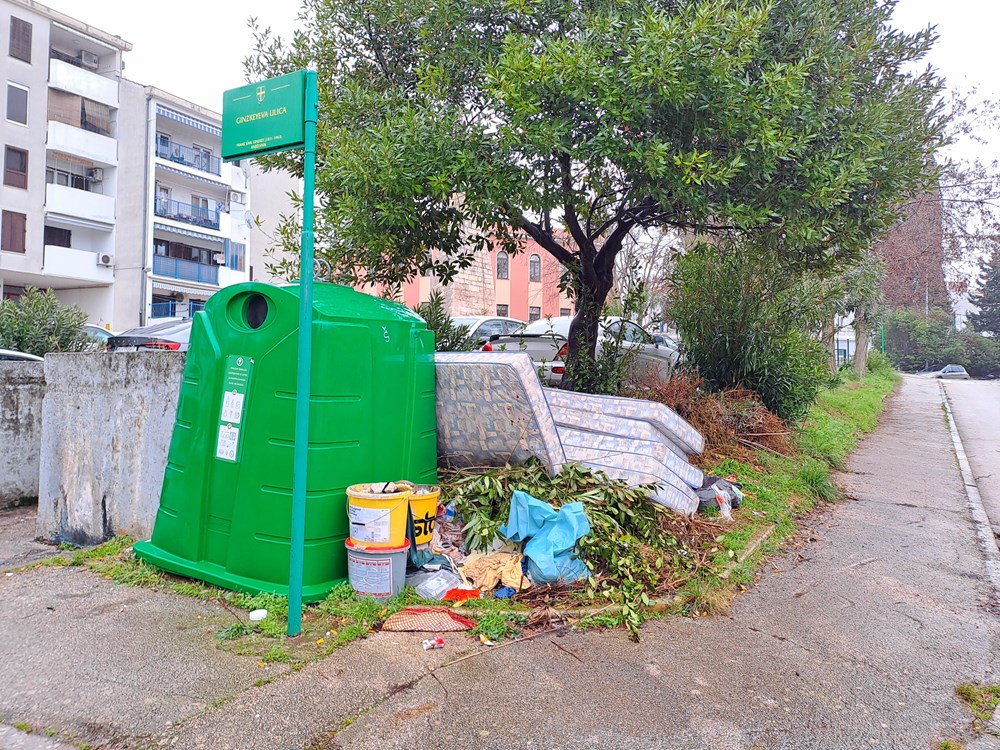 (Snimio Zoran Oljača)