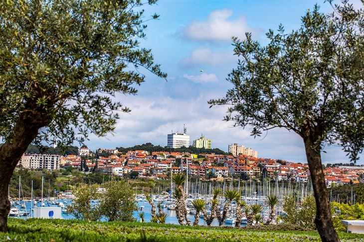 (Snimio Srećko Niketić/Pixsell)