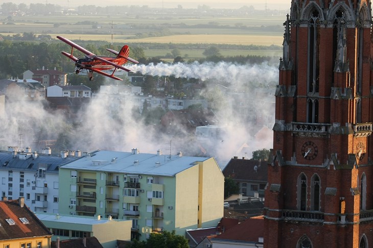 (Snimio Davor Javorović/Pixsell)