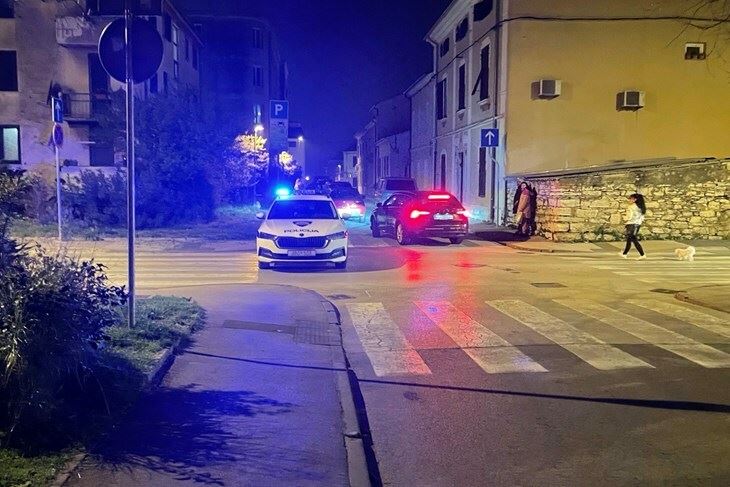 Ilustracija (Nikola Pušonjić)