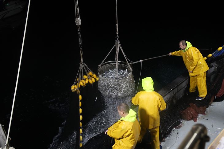 Ilustracija (Snimio Matija Habljak / Pixsell)