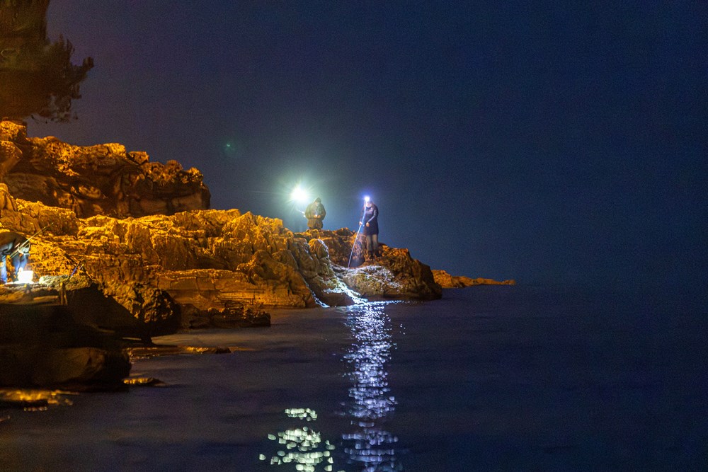 (Snimio Srecko Niketic / Pixsell)