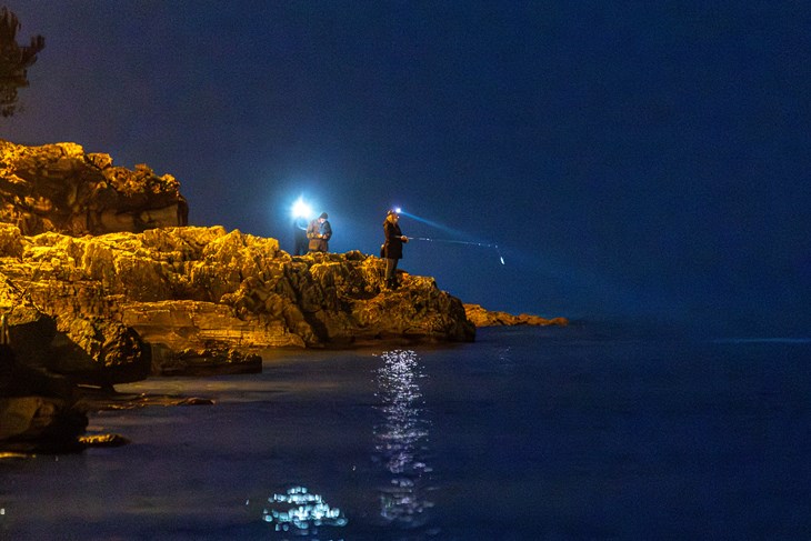 (Snimio Srecko Niketic / Pixsell)