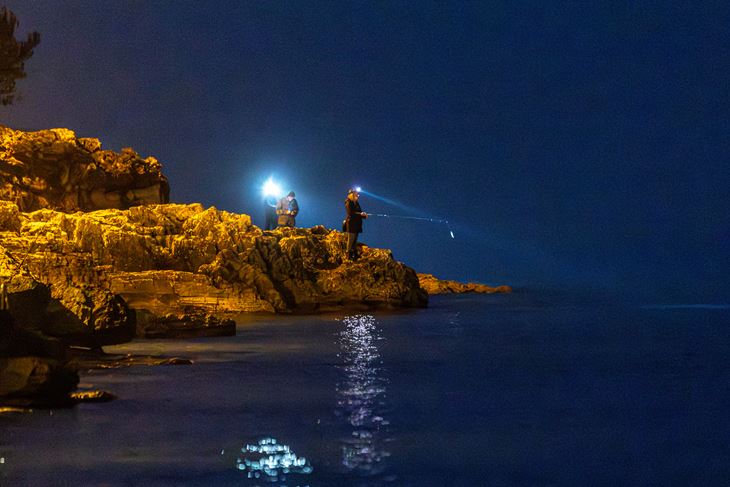 (Snimio Srecko Niketic / Pixsell)