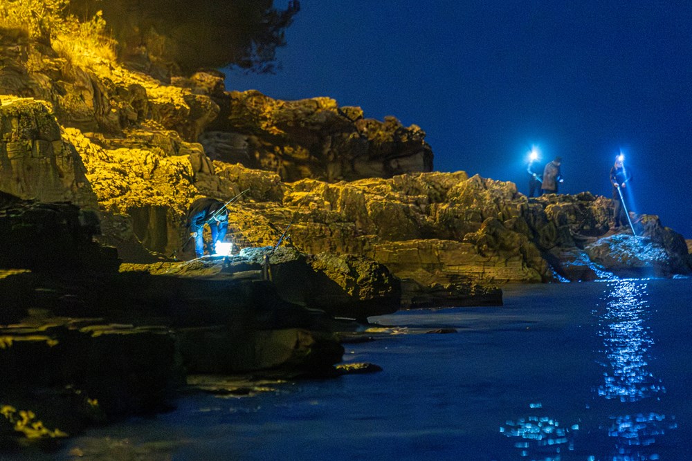 (Snimio Srecko Niketic / Pixsell)