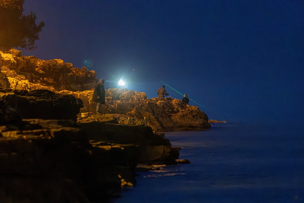 (Snimio Srecko Niketic / Pixsell)