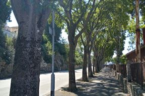 (Arhiva Glasa Istre)