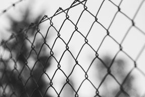 Ilustracija (Unsplash)