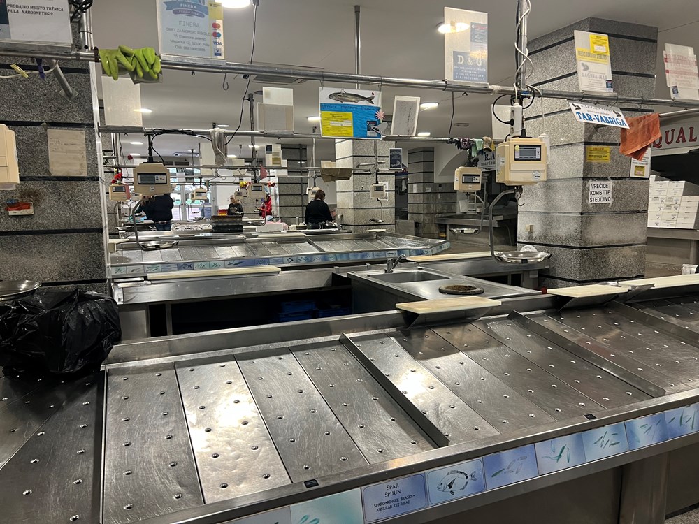 (Snimila Doria Mohorović)