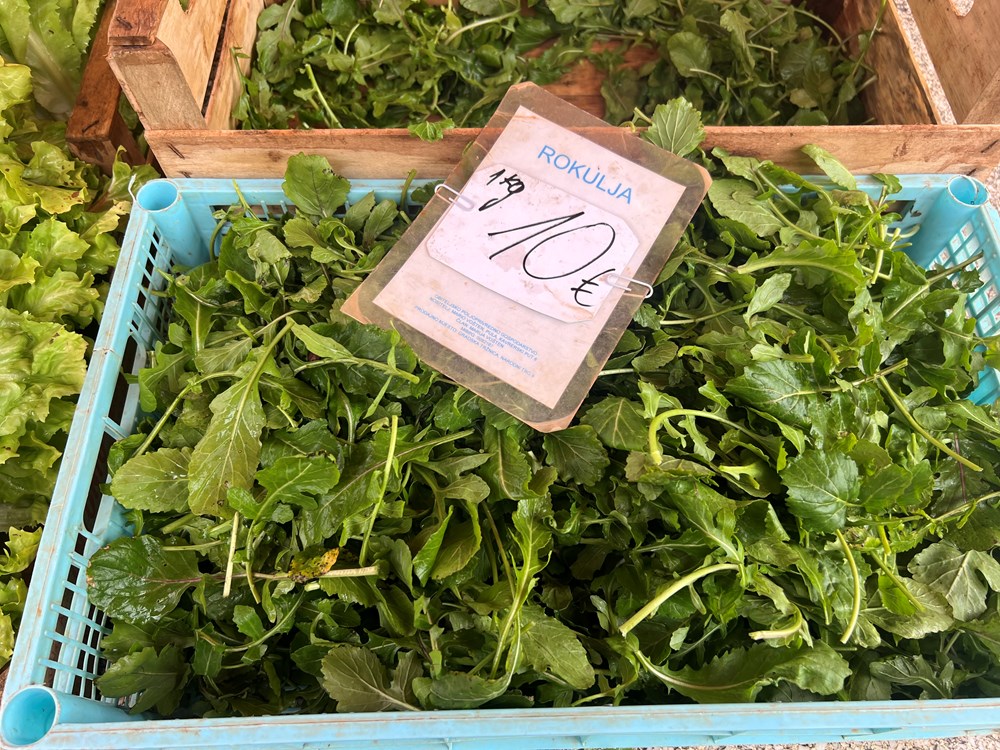 (Snimila Doria Mohorović)