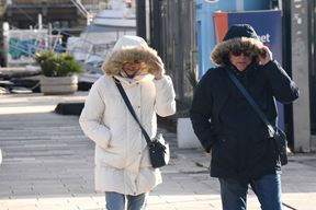 Ilustracija(Sergej Drechsler / Novi list)