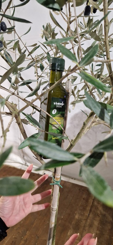 (Snimila Nina Orlović Radić)