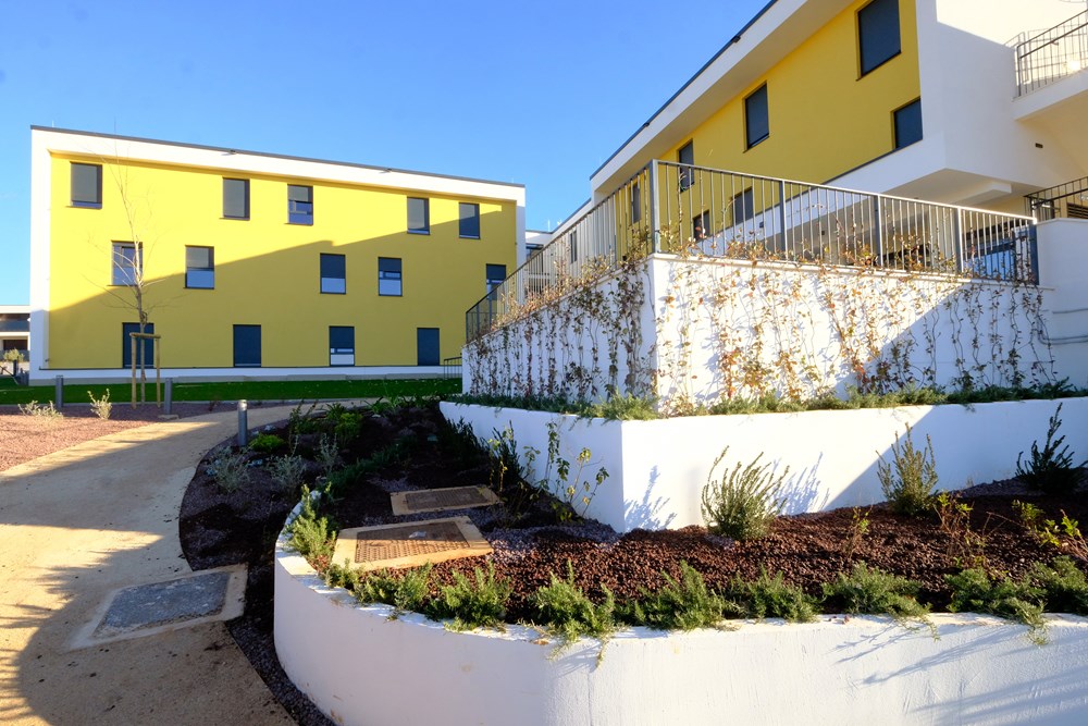 (Snimio Milivoj Mijo&scaron;ek)