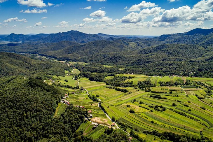 (Foto JU Priroda VŽ)