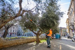 (Snimio Srecko Niketic / Pixsell)