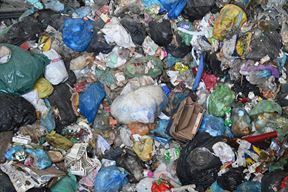 (Arhiva Glasa Istre)