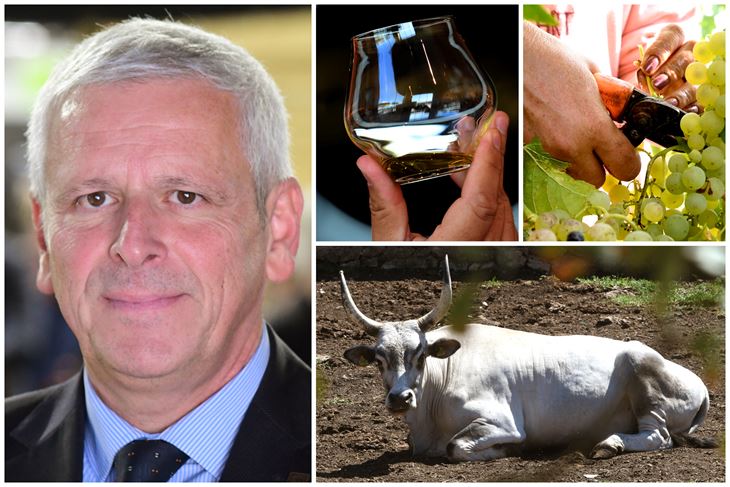 (Milivoj Mijošek/Arhiva Glasa Istre)