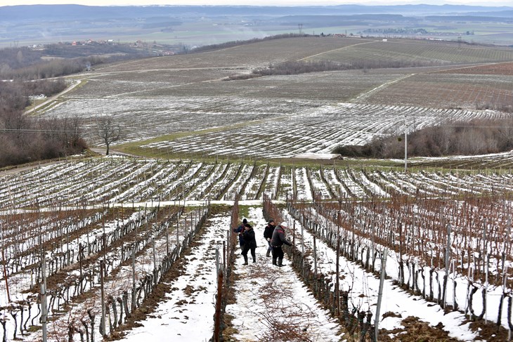 (Snimio Davor Kovacevic)