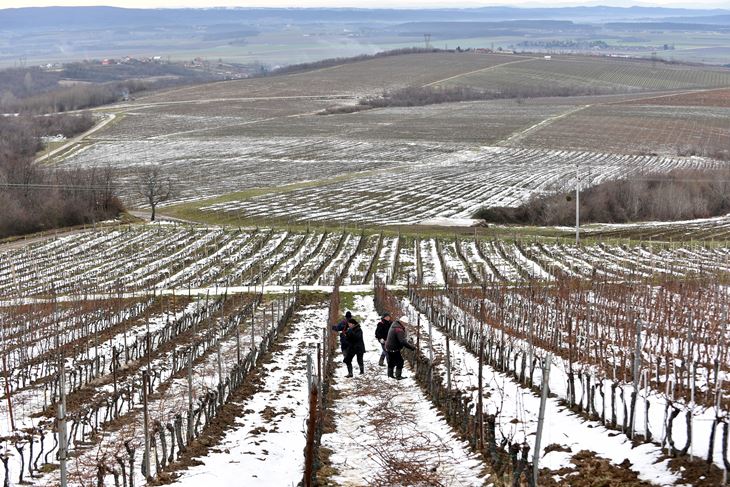 (Snimio Davor Kovacevic)