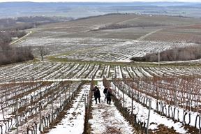 (Snimio Davor Kovacevic)