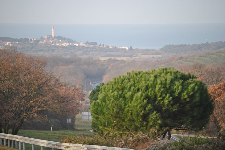 Ilustracija (Snimio Aldo Pokrajac)