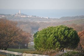 Ilustracija (Snimio Aldo Pokrajac)