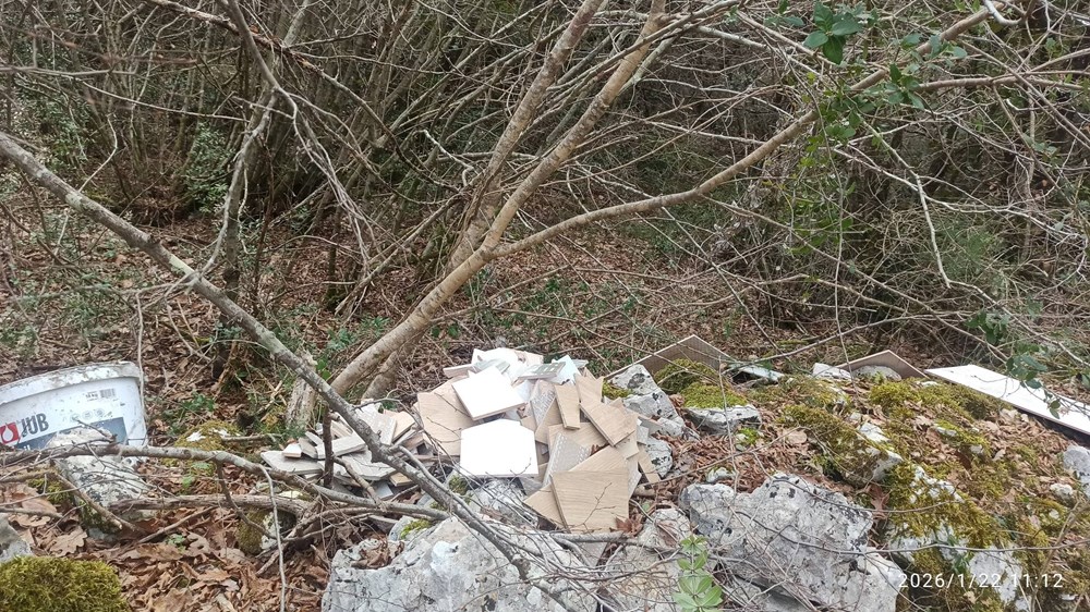 (Foto: Facebook / Rovinjske žalbe i pohvale)