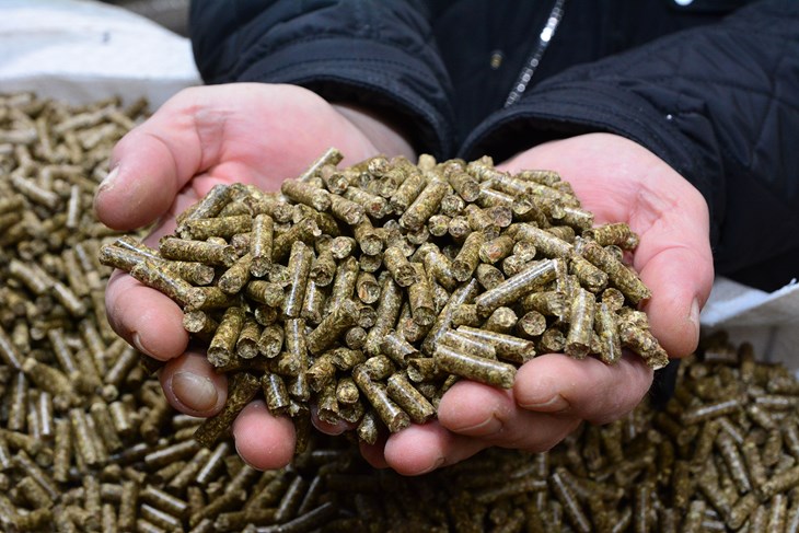 Ilustracija (Snimio Ivica Galović / Pixsell)