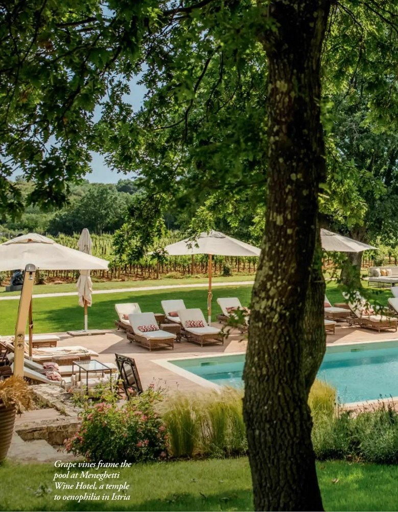 (Snimila Gordana Ku&scaron;ec)