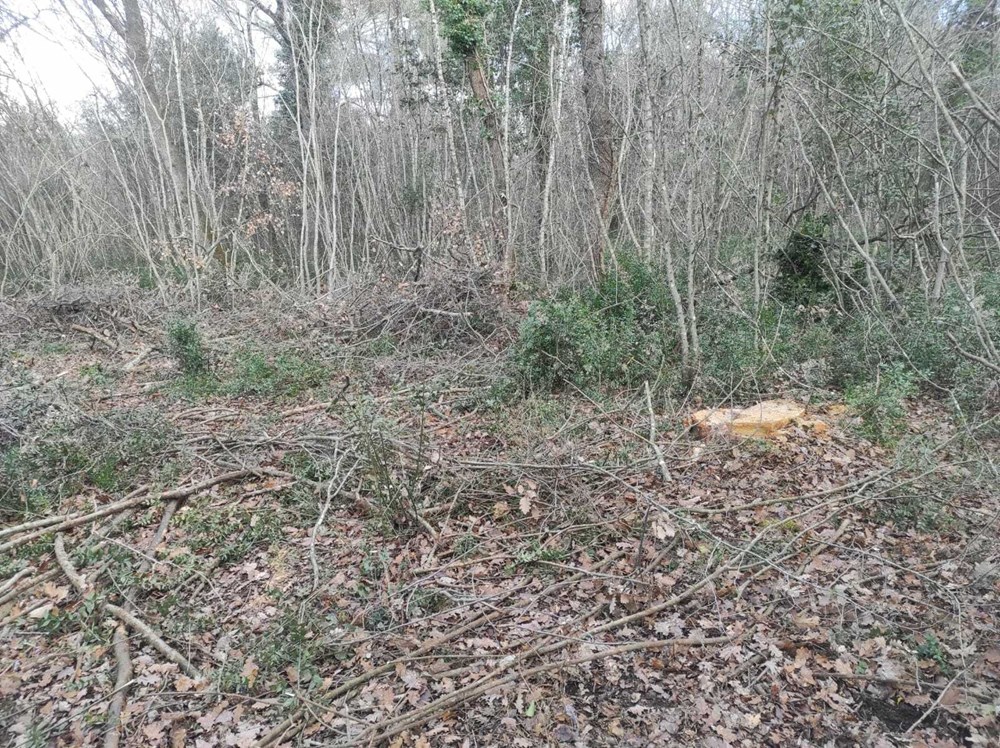 (Snimila Sandra Zrinić Terlević)