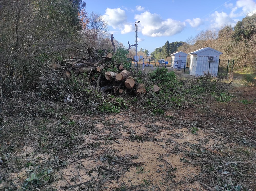 (Snimila Sandra Zrinić Terlević)