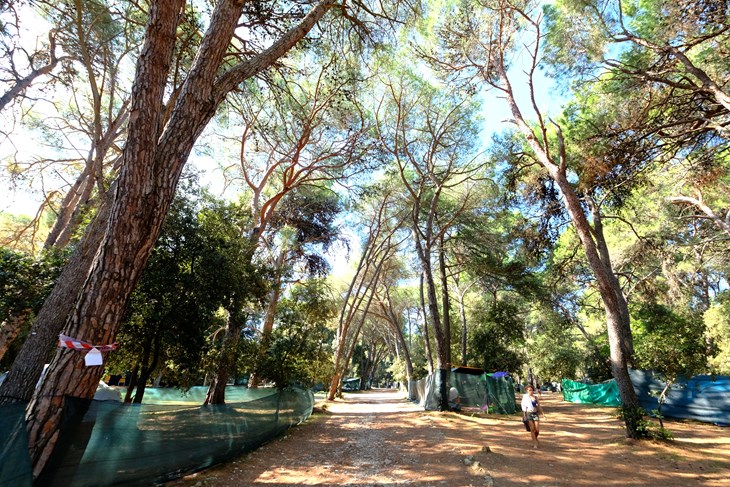 (Snimio Milivoj Mijošek)