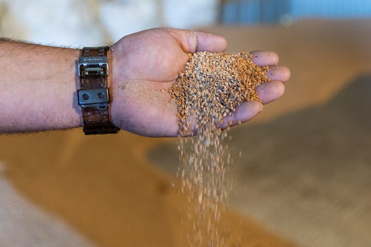 Ilustracija (Snimio Mate Komina)