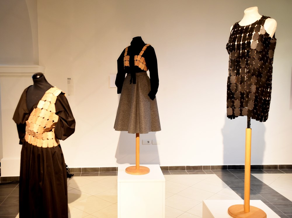 (Foto: Istarska županija)