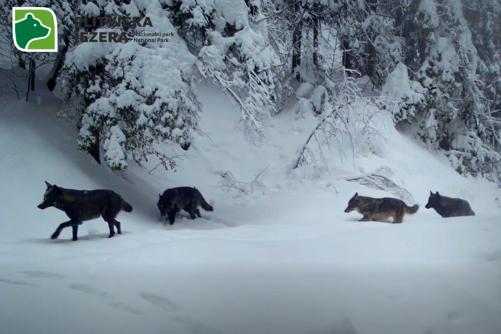 (Screenshot/NP Plitvička jezera)