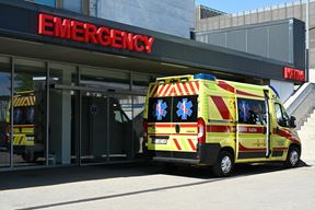 Ilustracija (Snimila Ana Križanec)