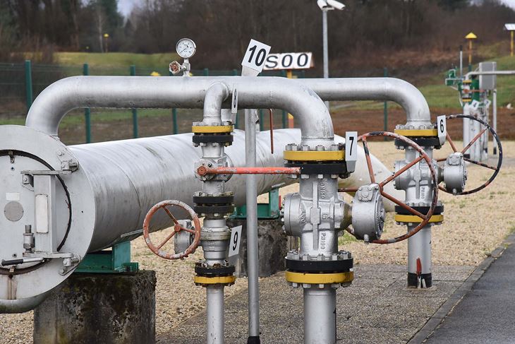 Ilustracija (Snimio Sergej Drechsler)