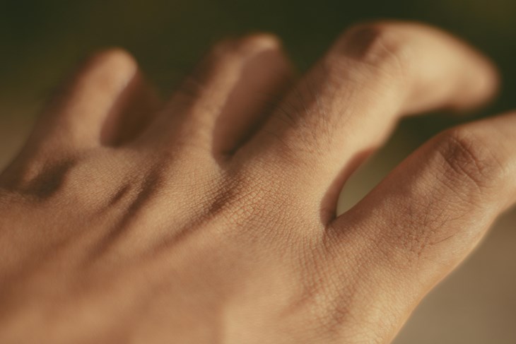 Ilustracija (Pexels)