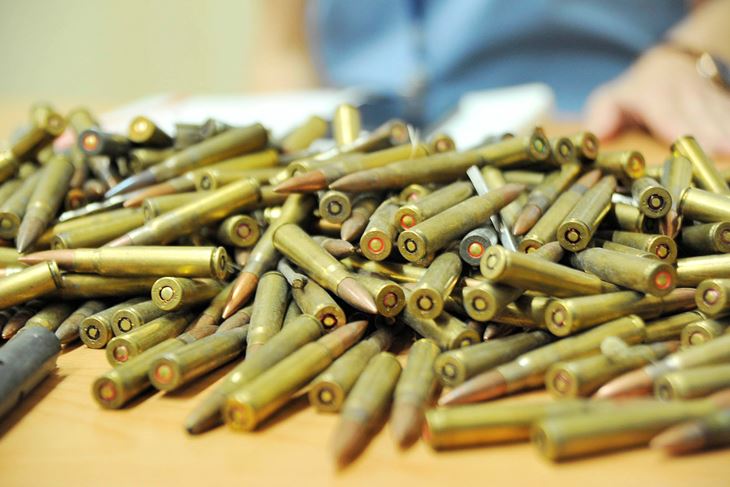 Ilustracija (Sergej Drechsler / Novi list)